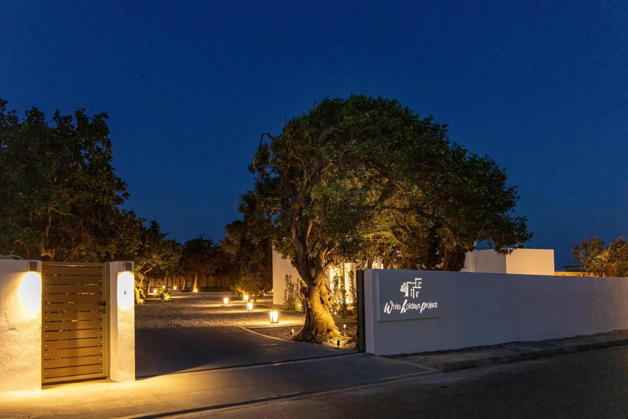 White Holidays Project Tinos Екстер'єр фото